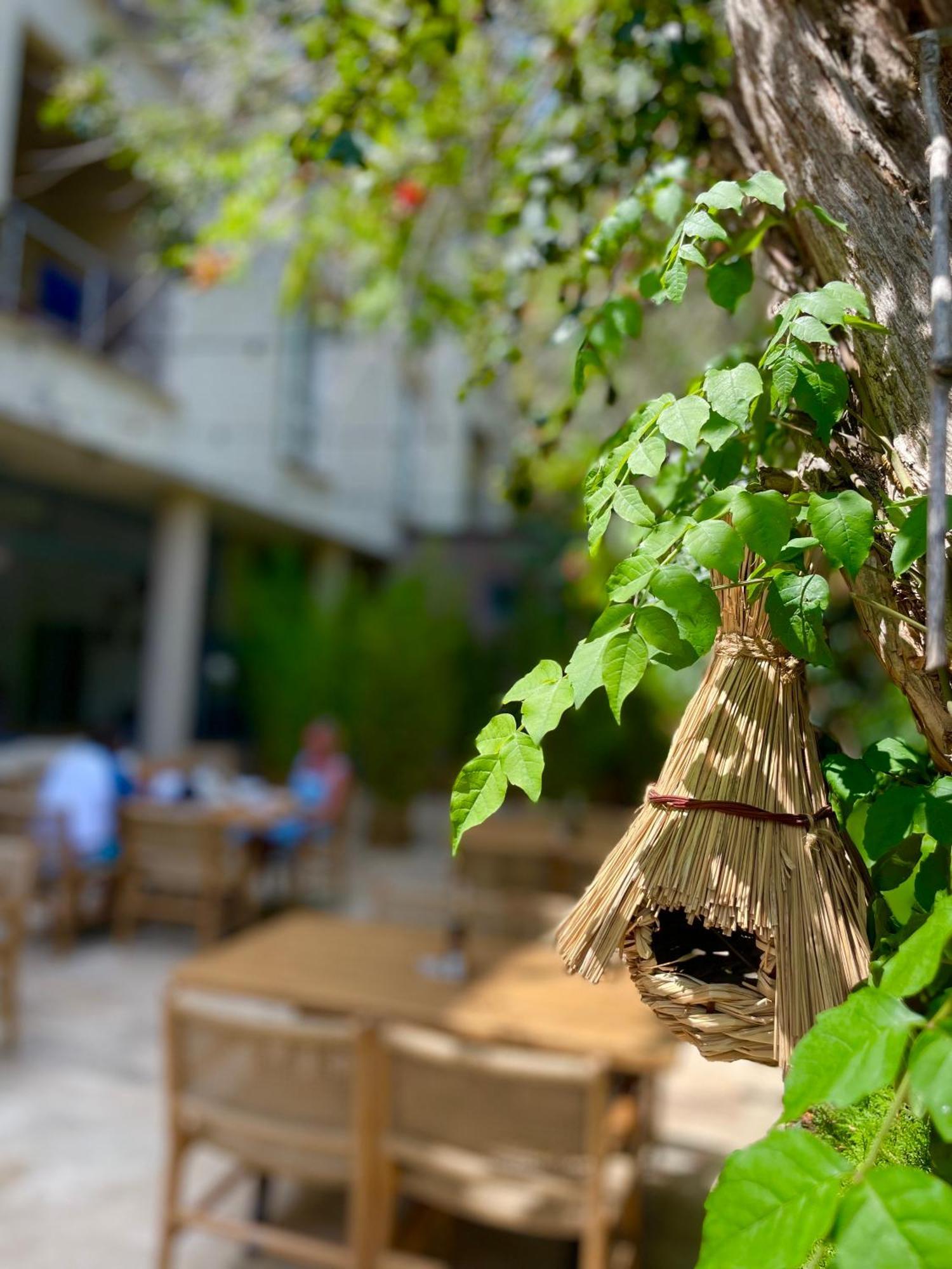 Hotel Carmen Eforie Nord Ngoại thất bức ảnh